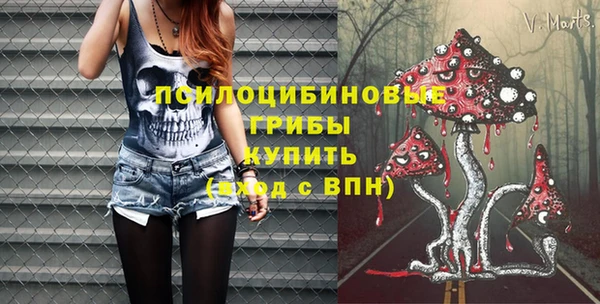 МДПВ Струнино