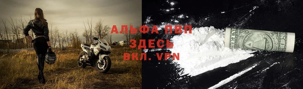 трава Сосновый Бор