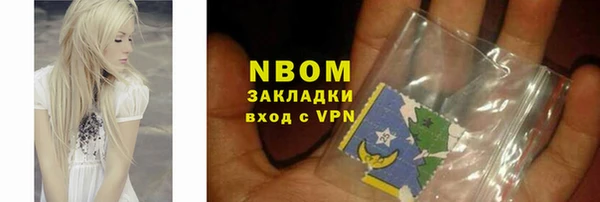 индика Балабаново