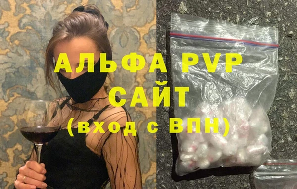 прущие грибы Сосновоборск