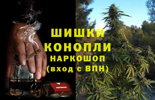 МДПВ Струнино