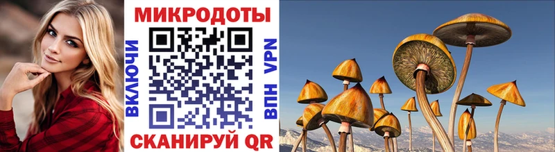 Галлюциногенные грибы MAGIC MUSHROOMS  Чекалин 