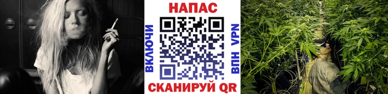 купить  цена  Чекалин  Канабис планчик 